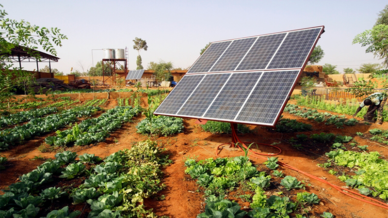 Energia solar reduz os custos de produção nas fazendas e estimula a irrigação